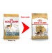 Royal Canin Dog Food Adult  German Shepherd 3 Kg Petshop18.com